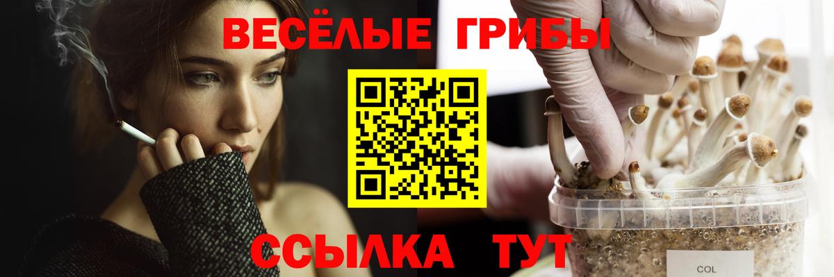 Псилоцибиновые грибы GOLDEN TEACHER Горно-Алтайск